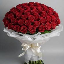 Букет 101 Красная роза Блэк Мэджик в Молодежном