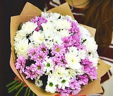Букет цветов из:  Хризантемы #REPLACE_PRED# Молодежном