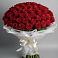 Букет 101 Красная роза Блэк Мэджик в Молодежном