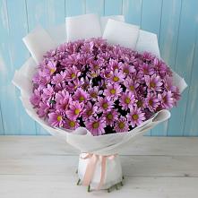 Букет цветов из:  Хризантемы в Молодежном