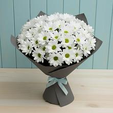 Букет цветов из:  Хризантемы #REPLACE_PRED# Молодежном