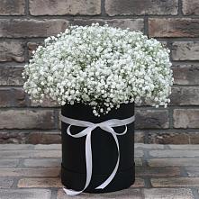 Цветочная композиция из Гипсофила в шляпной коробке в Молодежном