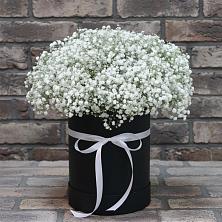 Цветочная композиция из Гипсофила в шляпной коробке в Молодежном