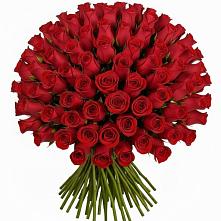 Букет Красные розы Чери Лав в Молодежном